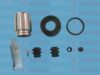 AUTOFREN SEINSA D41813C Repair Kit, brake caliper